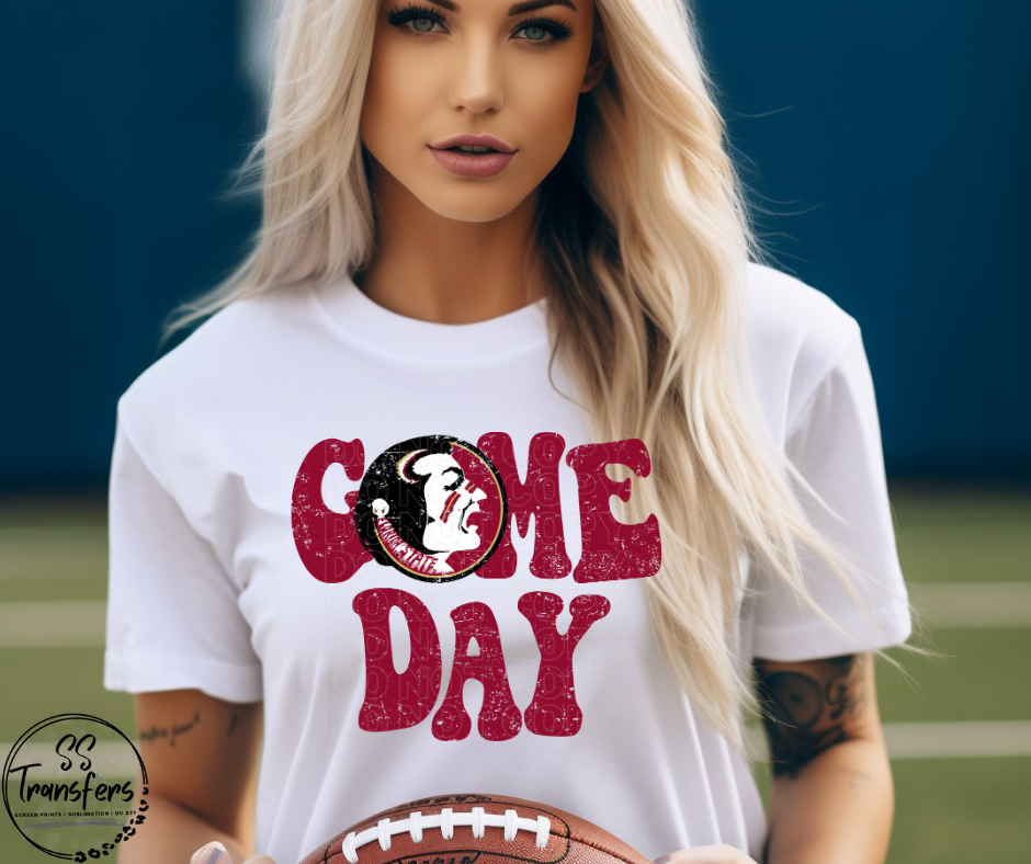 Vintage Game Day FL State DTF Transfer