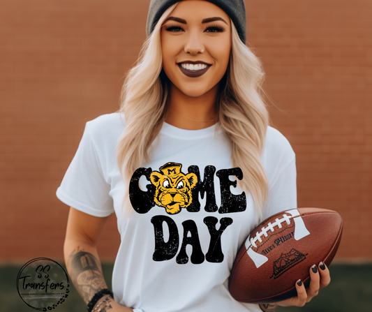 Vintage Game Day Missouri DTF Transfer