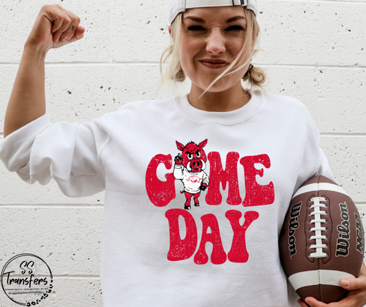 Vintage Game Day Arkansas DTF Transfer