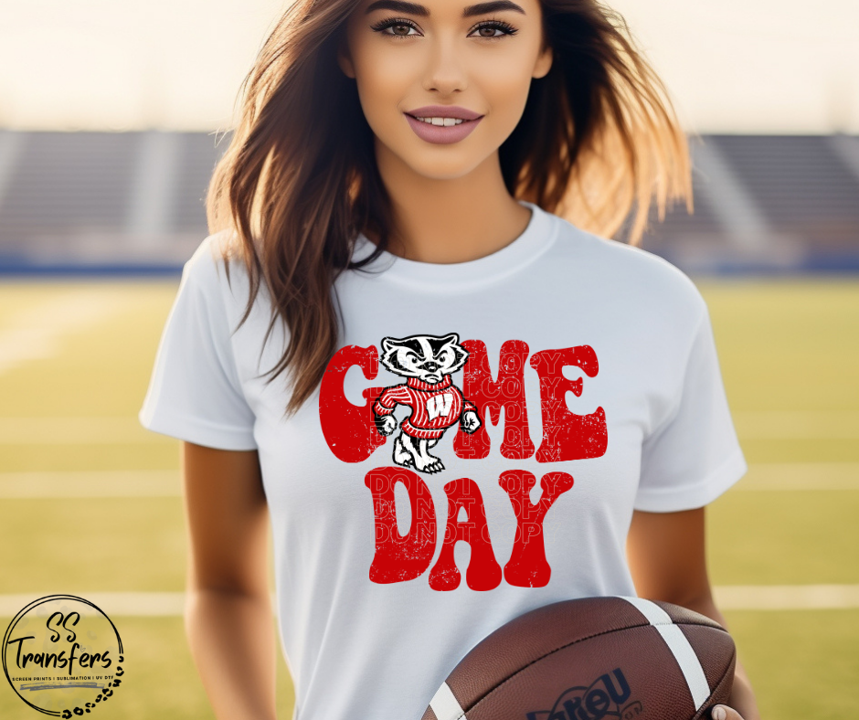 Vintage Game Day Badgers DTF Transfer