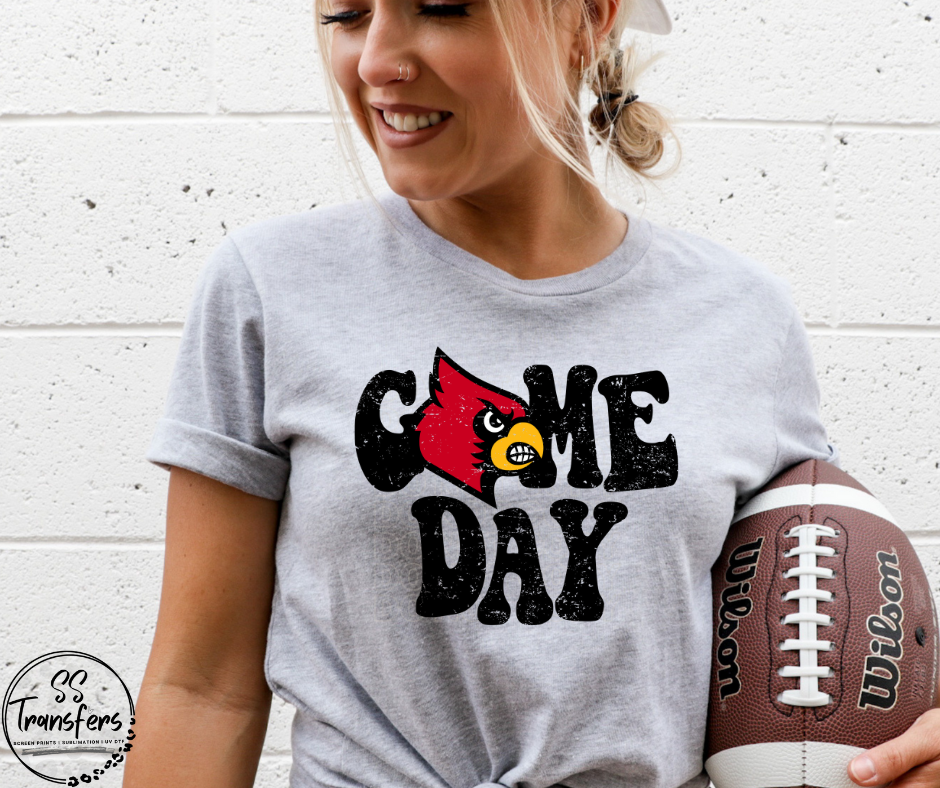 Vintage Game Day AZ Cardinals DTF Transfer