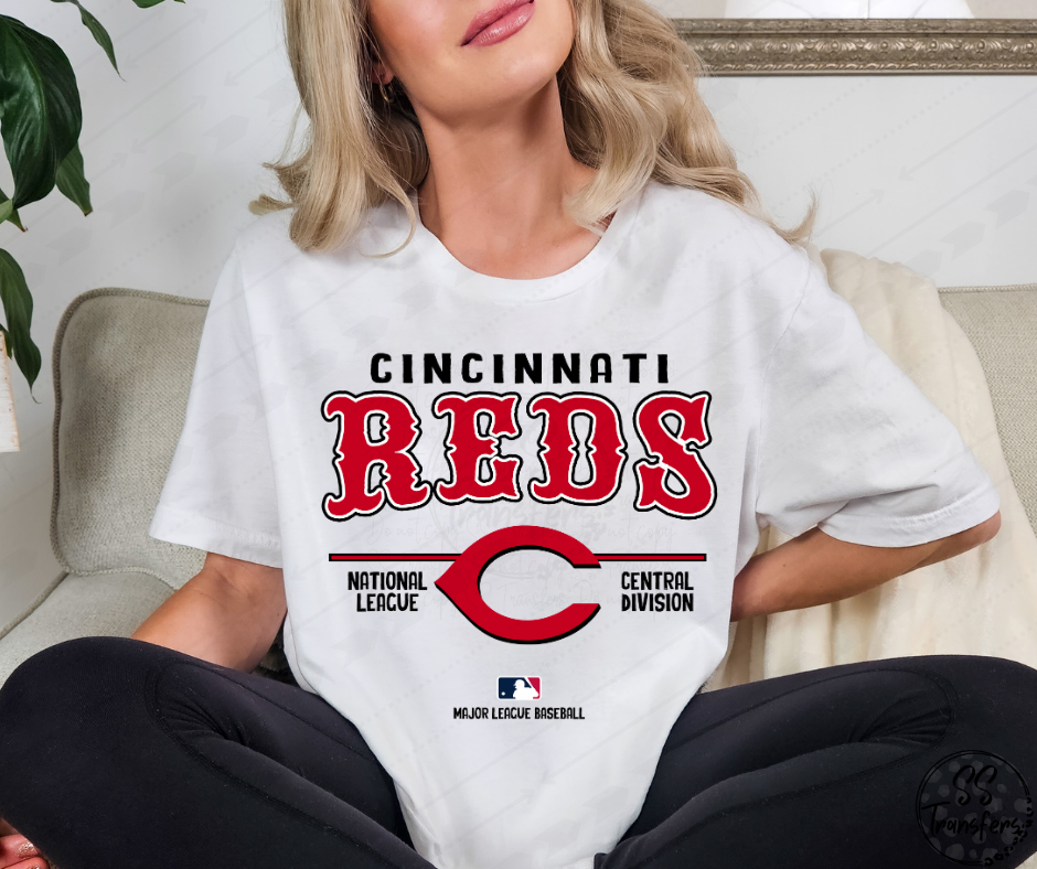 Pro Baseball Unisex (All Pro Teams Avail.) DTF Transfer
