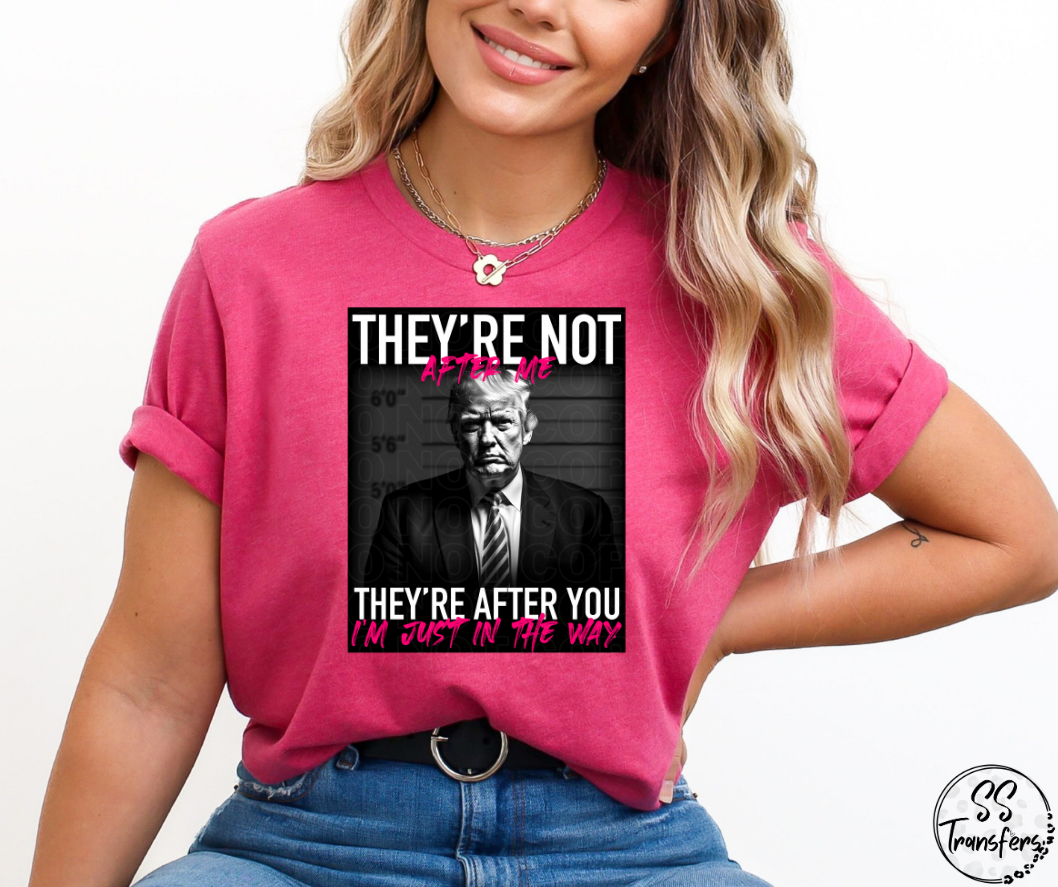 They're Not After Me DTF Transfer