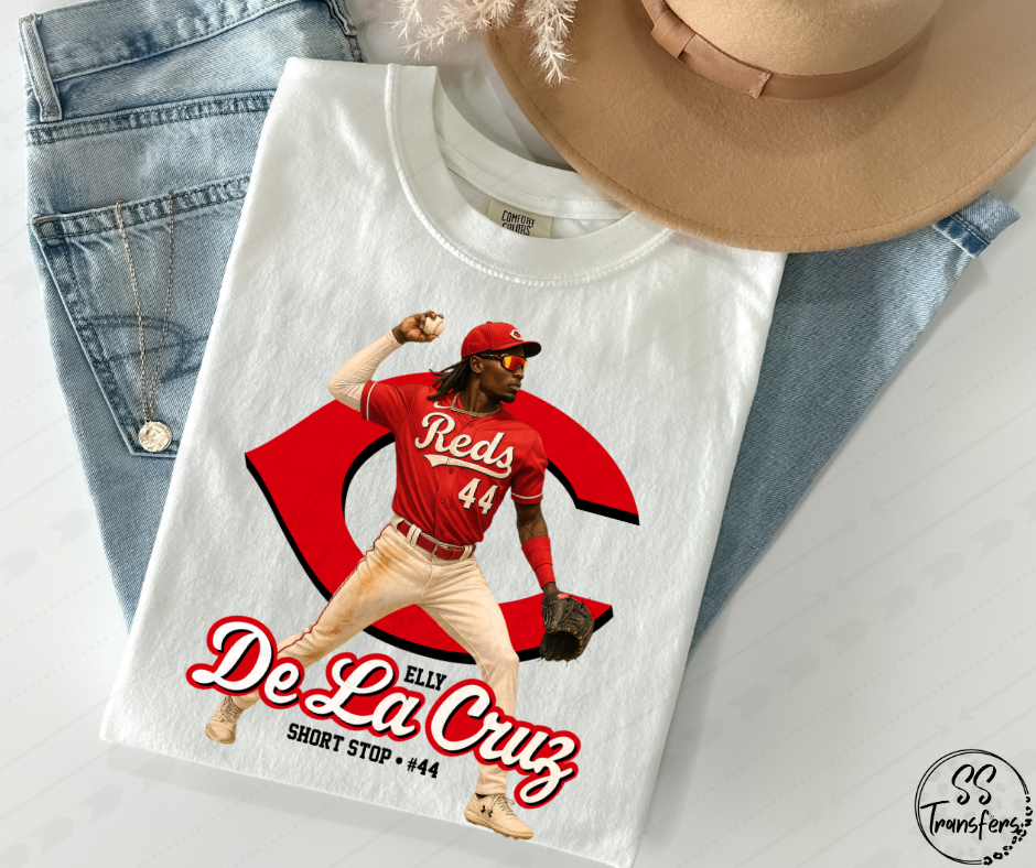 Pro BBall Players (Multiple Choices) DTF Transfer