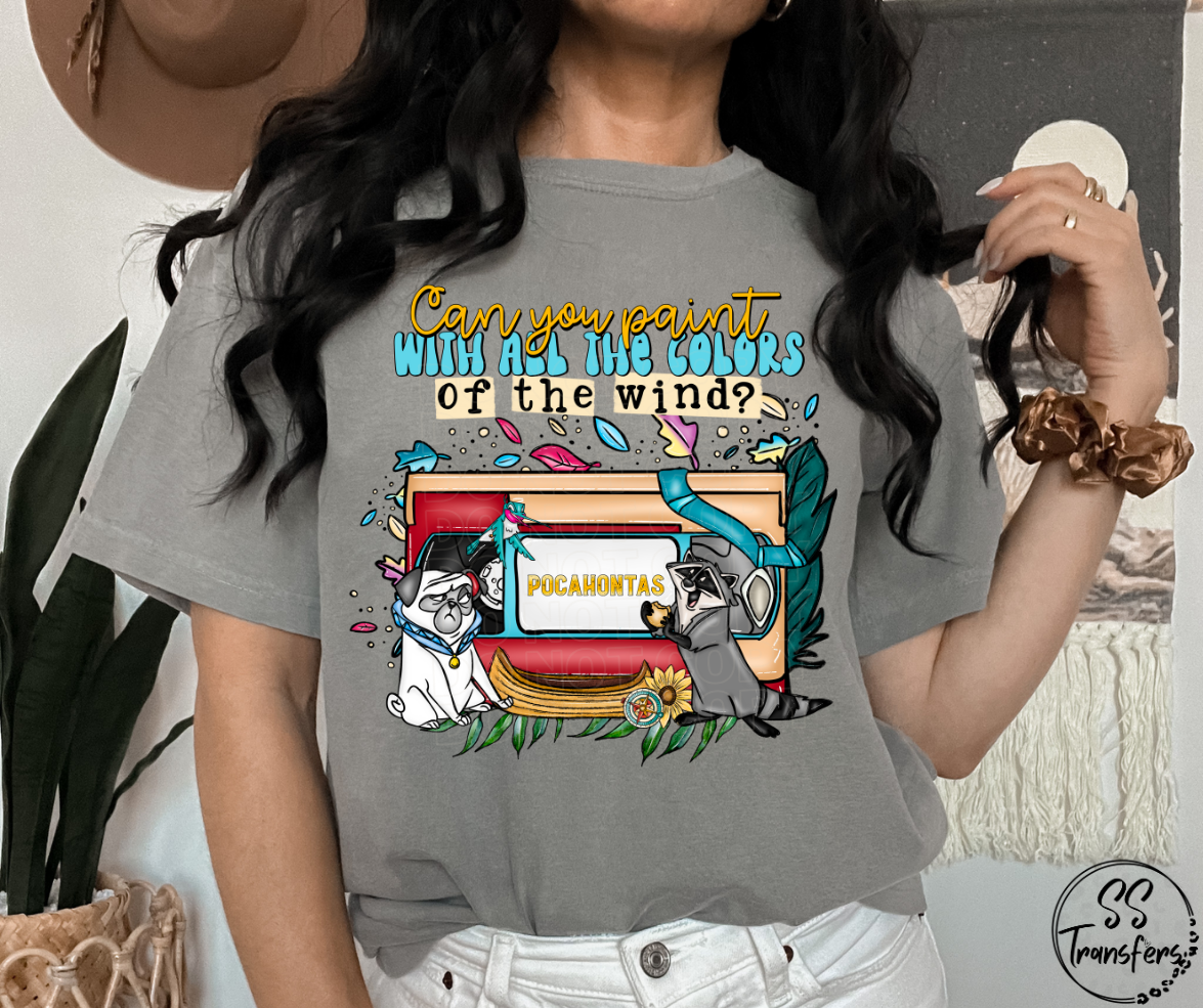 Colors of the Wind VHS Tape DTF Transfer