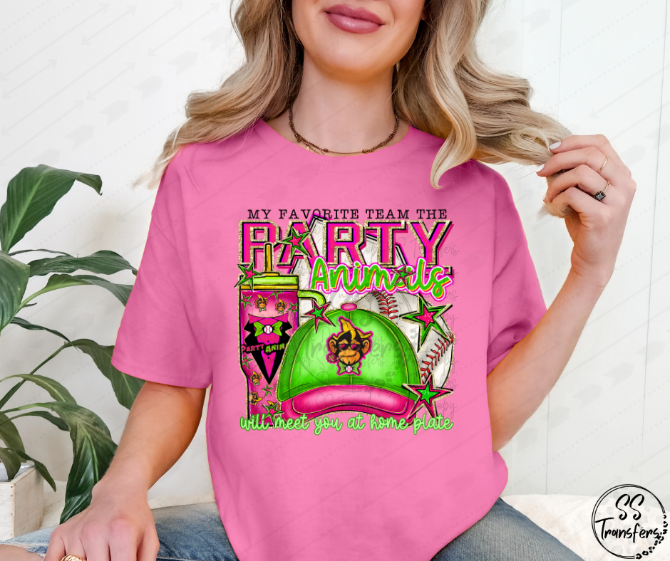 My Favorite Baseball Team (Multiple Choices) DTF Transfer