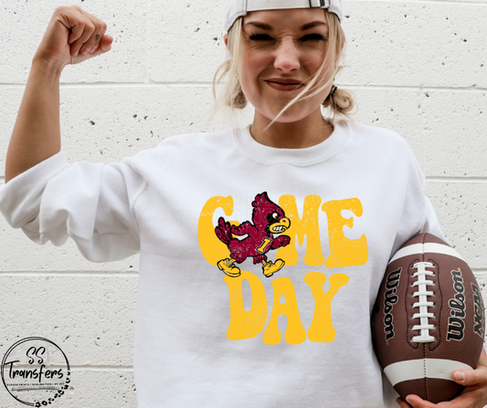 Vintage Game Day I State DTF Transfer