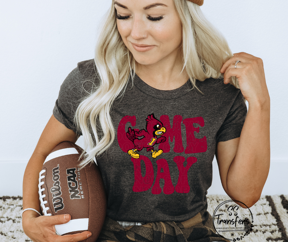 Vintage Game Day I State DTF Transfer