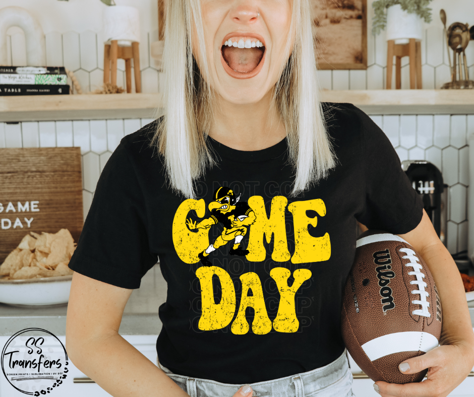 Vintage Game Day Iowa DTF Transfer