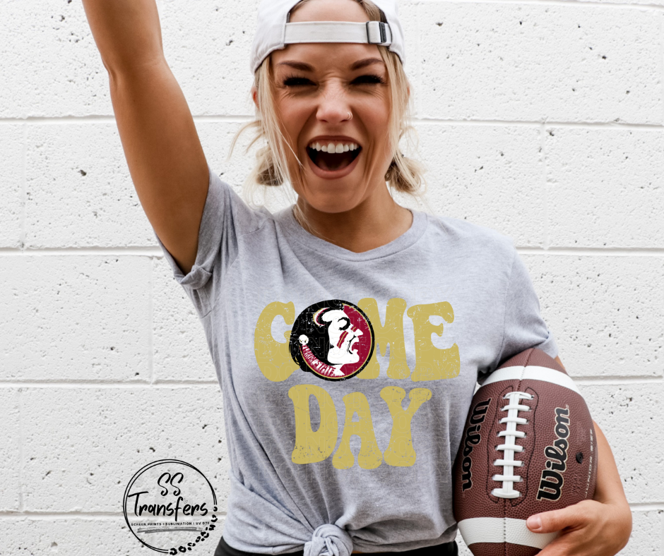 Vintage Game Day FL State DTF Transfer
