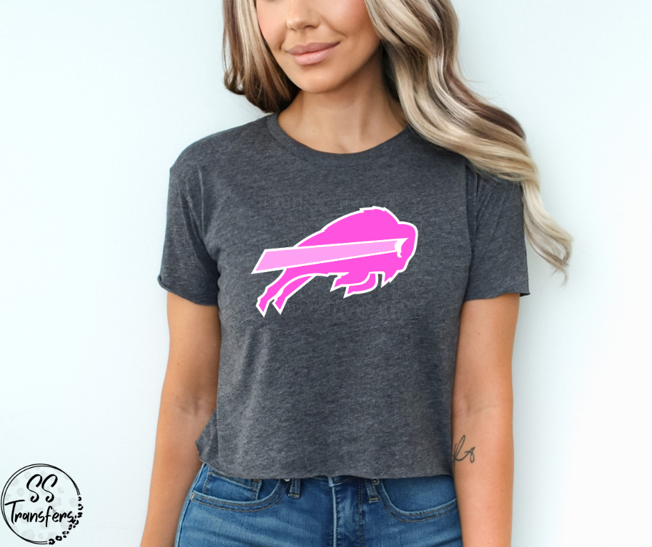 Bright Pink Football Pro Teams (All Pro Teams Avail) DTF Transfer