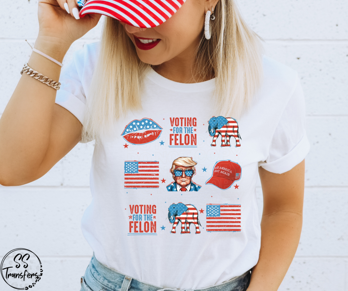 Voting For A Felon DTF Transfer