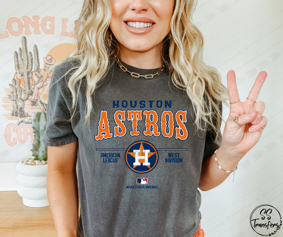 Pro Baseball Unisex (All Pro Teams Avail.) DTF Transfer