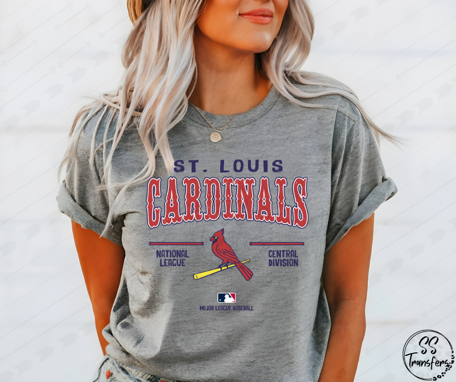 Pro Baseball Unisex (All Pro Teams Avail.) DTF Transfer