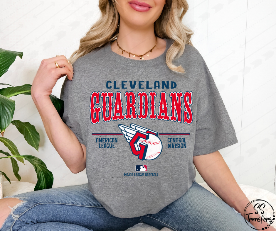 Pro Baseball Unisex (All Pro Teams Avail.) DTF Transfer