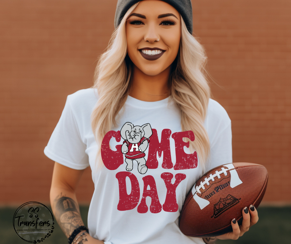 Vintage Game Day A State DTF Transfer